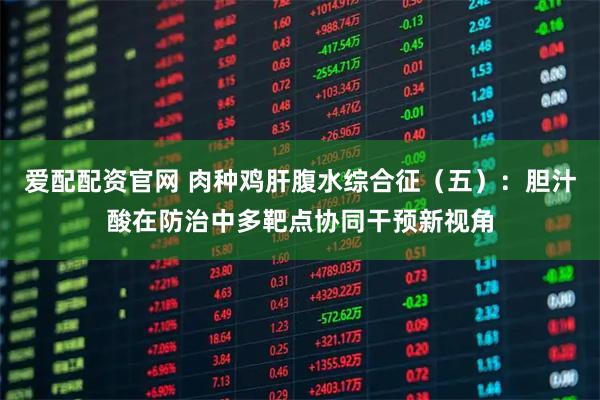 爱配配资官网 肉种鸡肝腹水综合征（五）：胆汁酸在防治中多靶点协同干预新视角